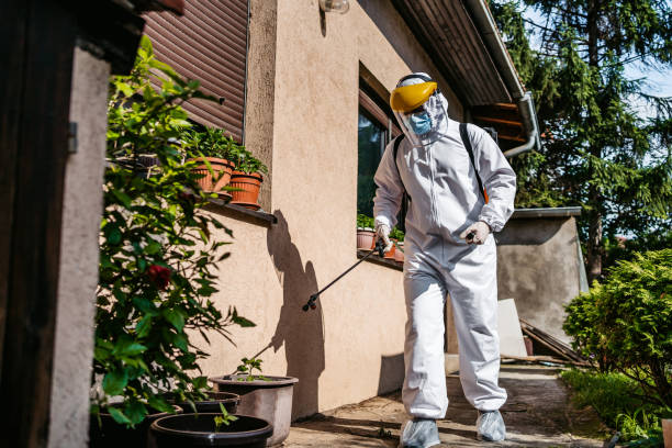 Best Wildlife Control Services  in Buzzards Bay, MA