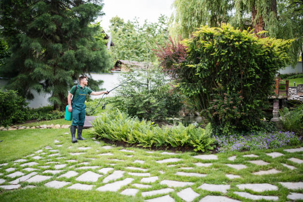 Best Exterminator Services  in Buzzards Bay, MA