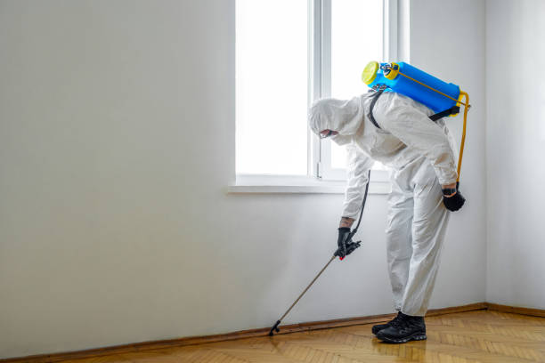 Best Wildlife Control Services  in Buzzards Bay, MA