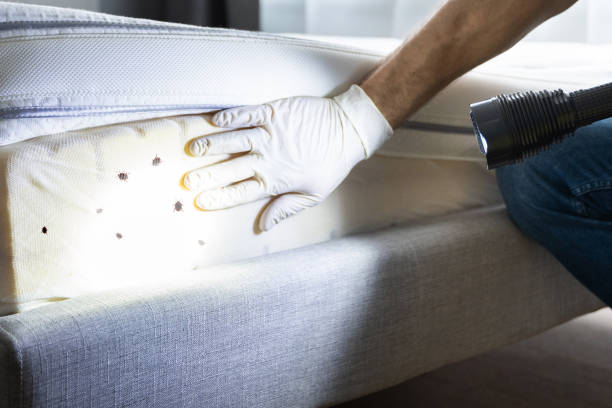  Buzzards Bay, MA Pest Control Pros