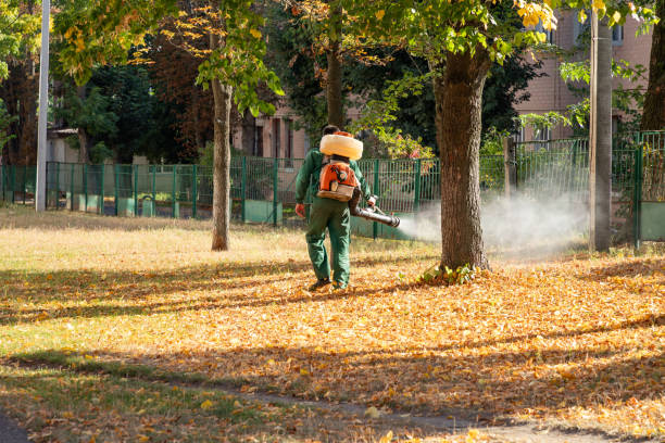 Best Mosquito Control Services  in Buzzards Bay, MA